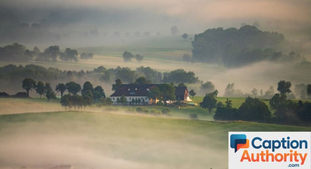 Beautiful Foggy Morning Captions