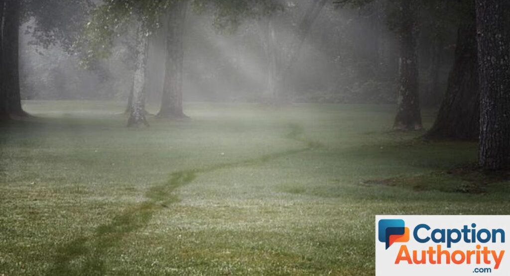 Best Fog Captions for Instagram