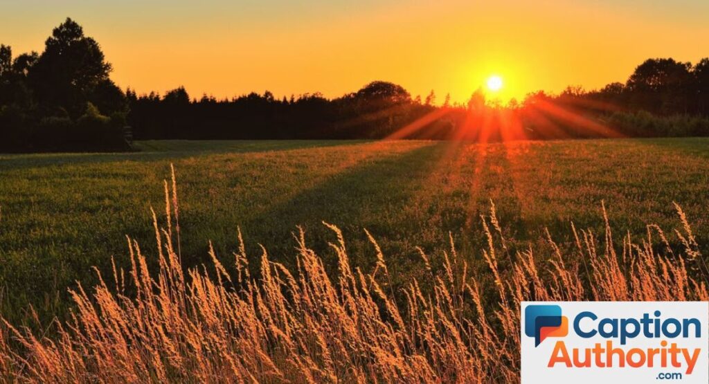 Best Sun Captions for Instagram
