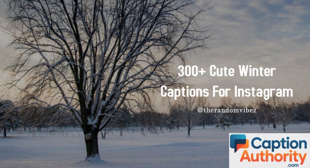Cute Fog Captions for Instagram