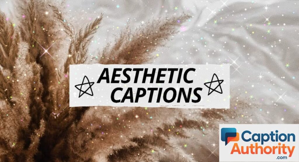 inspirational aesthetic caption