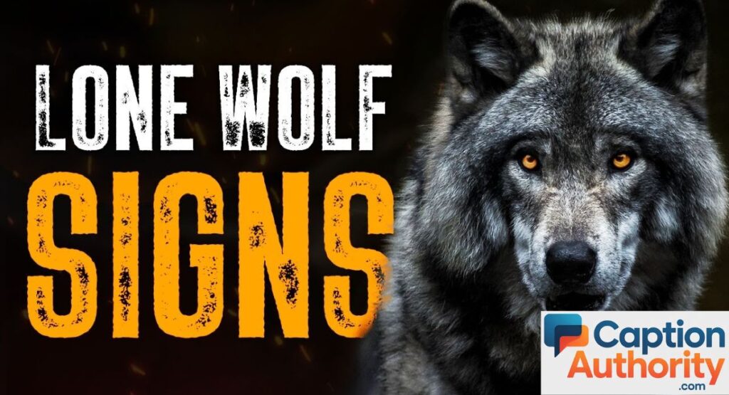 Lone Wolf Sigma Captions for Independence