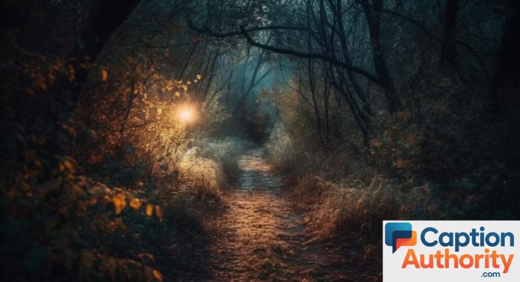 Mysterious Fog Captions