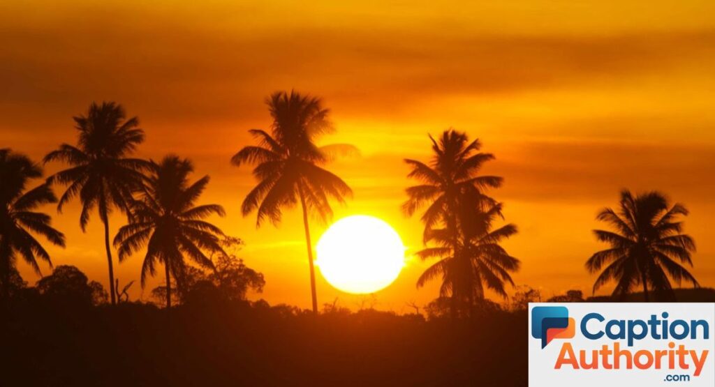 Sunset Sun Captions for Instagram