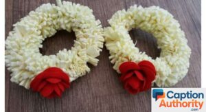 Best Gajra Captions for Instagram