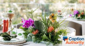 Best Nature Captions for Instagram