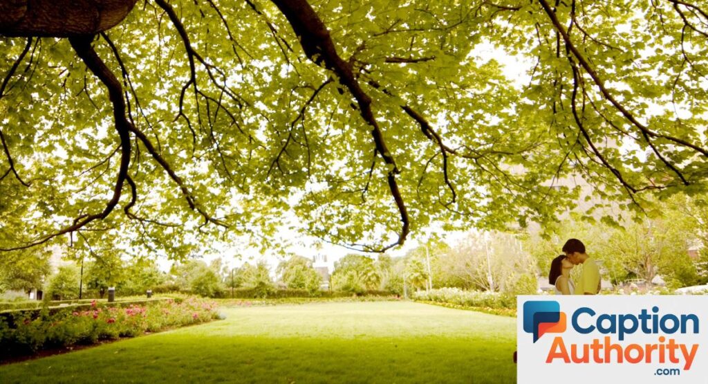 romantic tree captions for couples