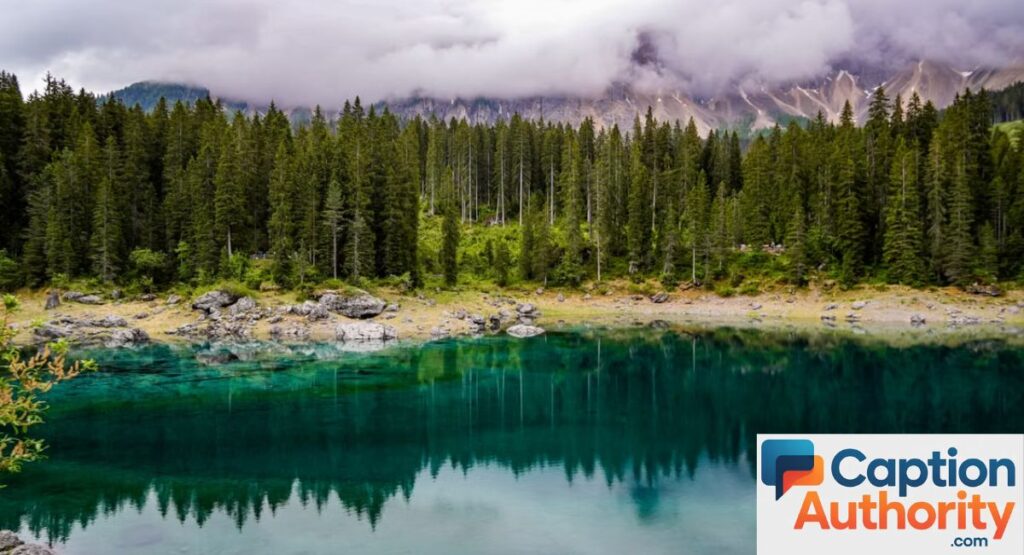 Short Nature Captions for Instagram
