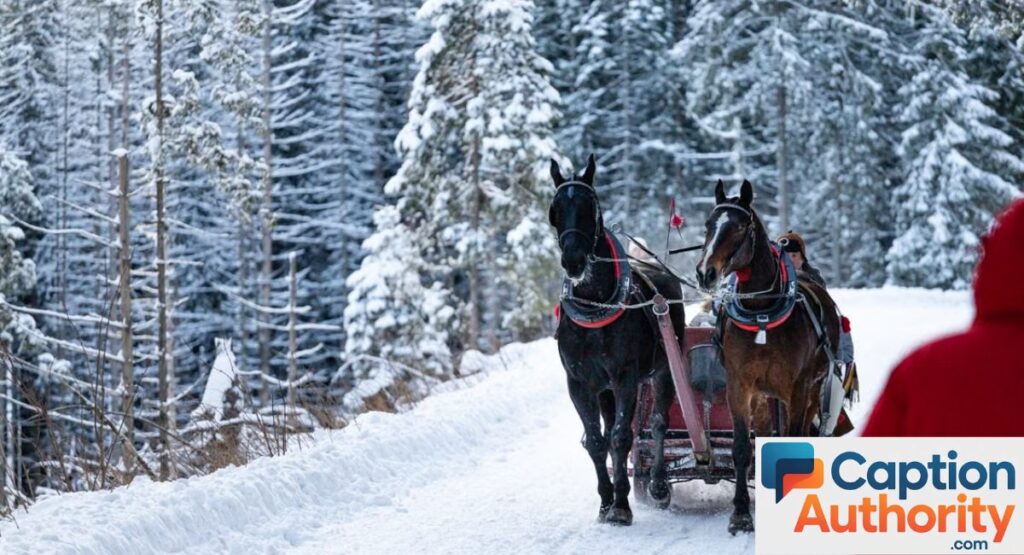 Swiss Culture & Tradition Captions