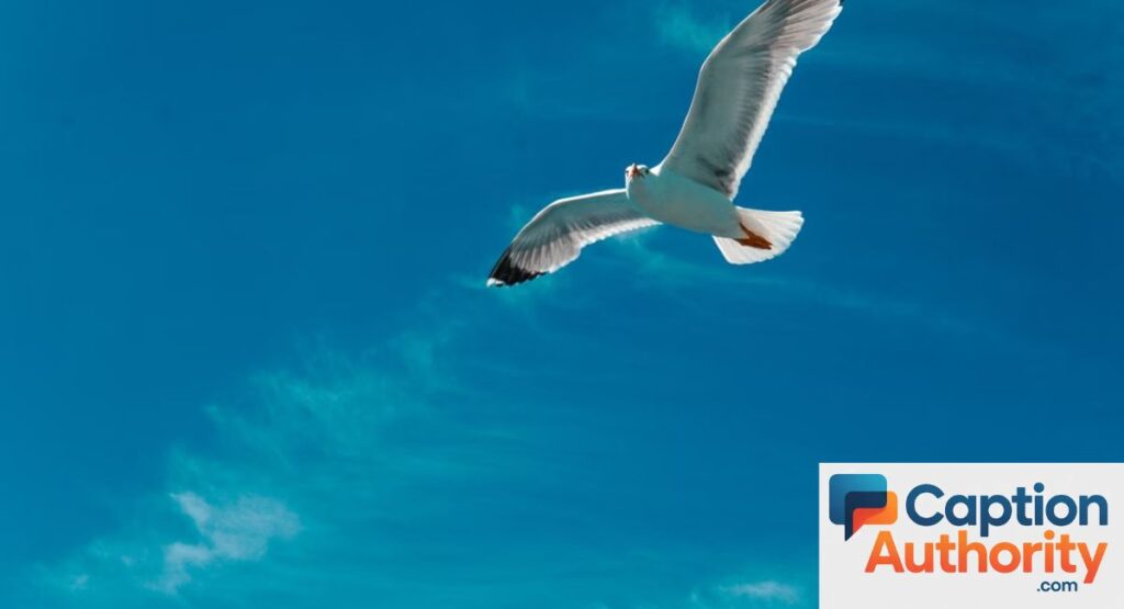 Best Sky Captions for Instagram