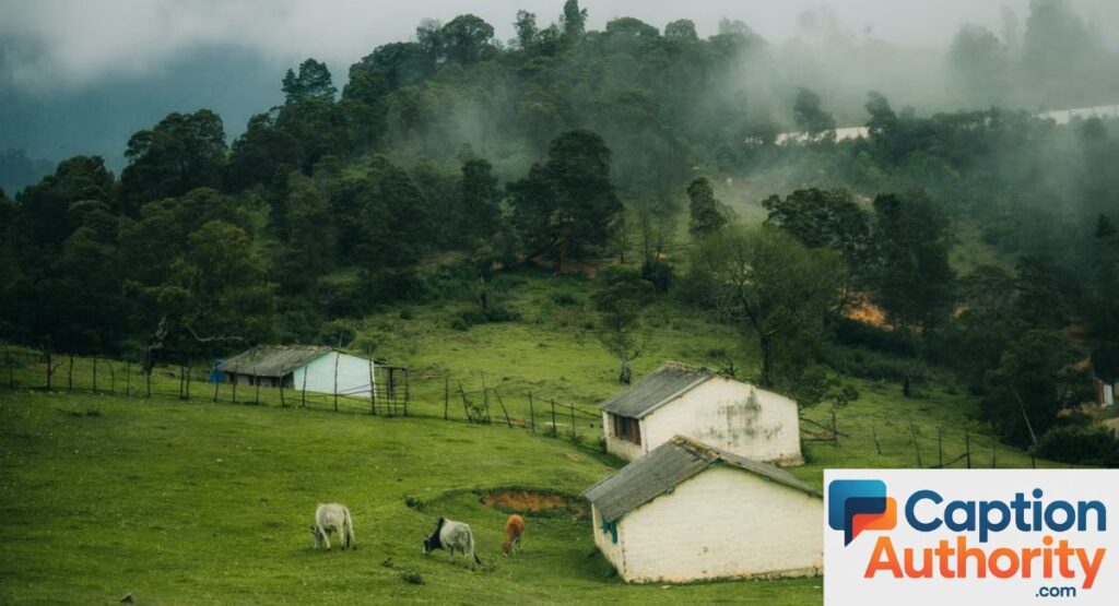 Kannada Captions for Nature and Beautiful Views
