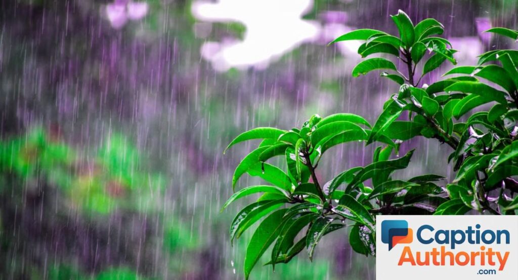 Nature & Rain Captions for Instagram