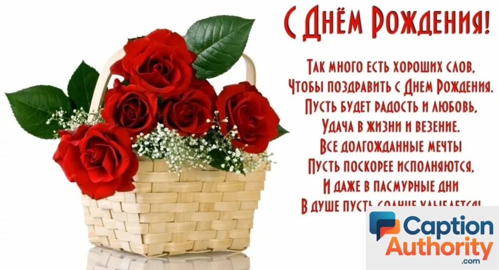 Red Rose Captions for Instagram