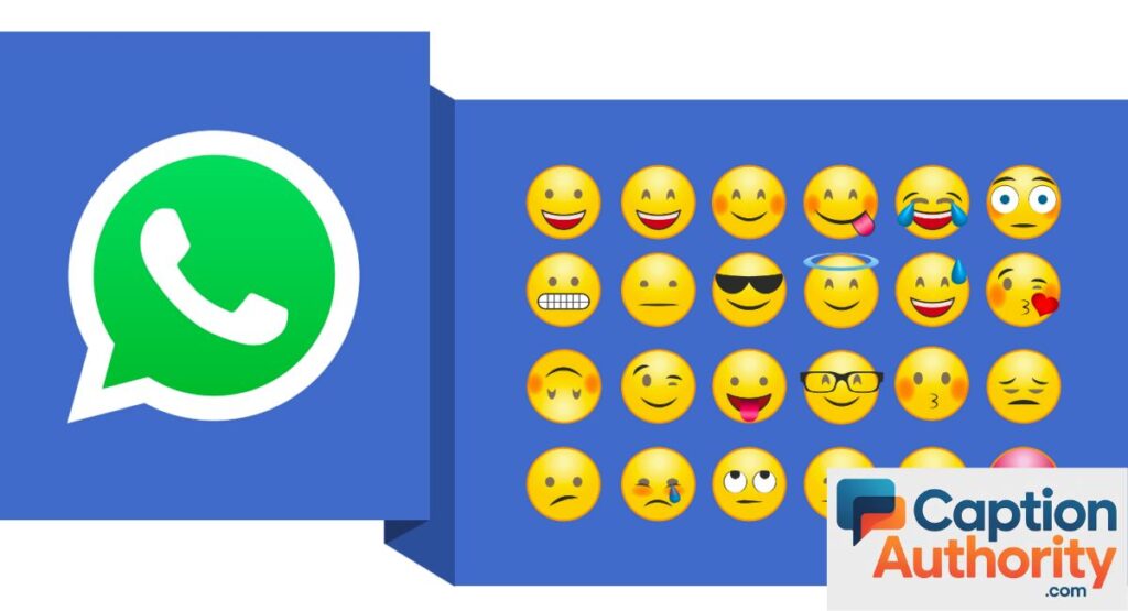 WhatsApp Bio Ideas With Emojis
