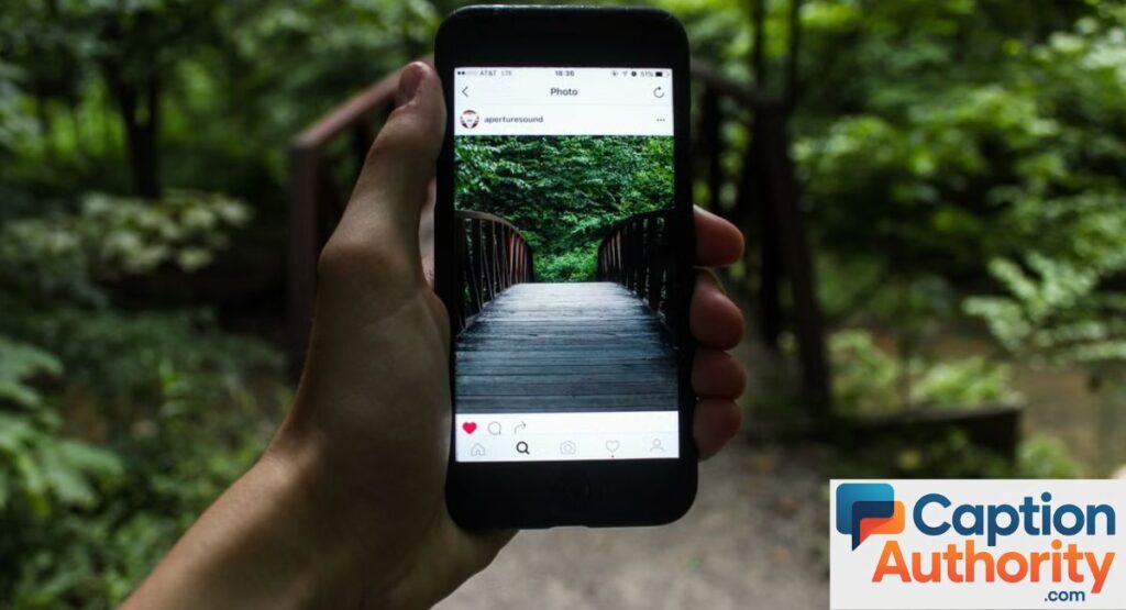 Forest and Greenery Captions for Instagram